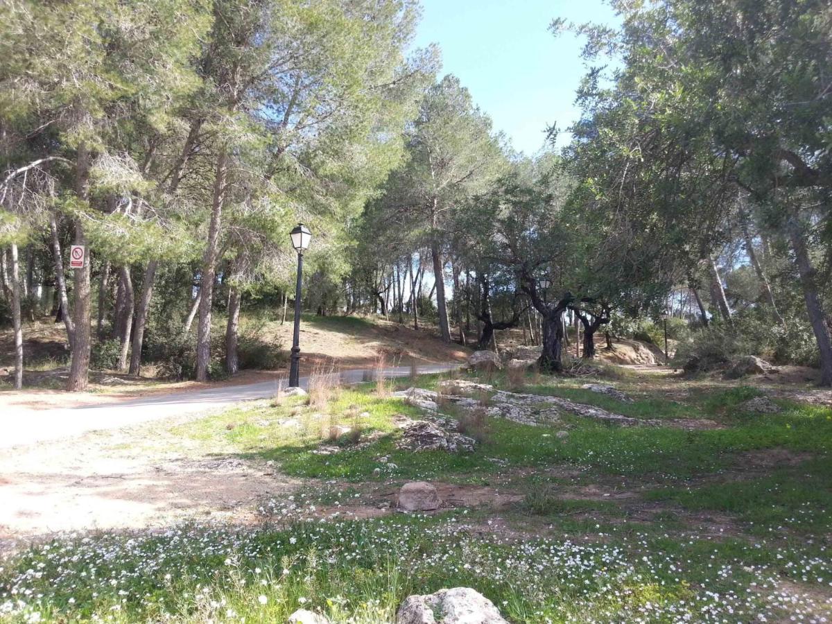 Villa Conchin Casa Junto A Parque Natural Alberic Eksteriør billede